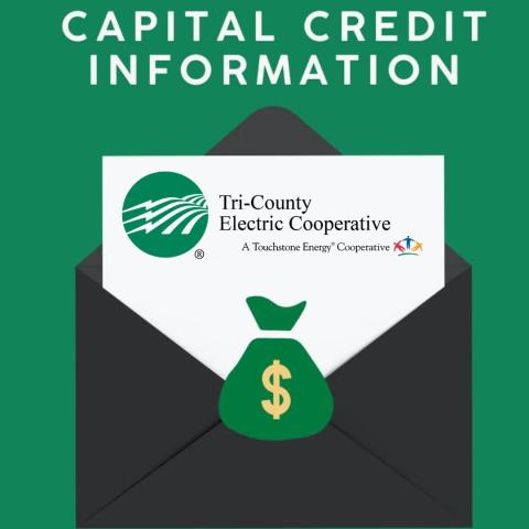 Capital Credit