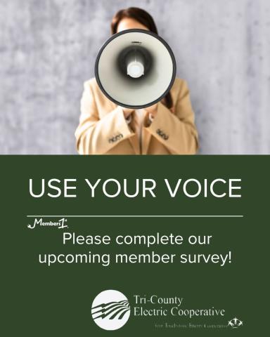 Use Your Voice
