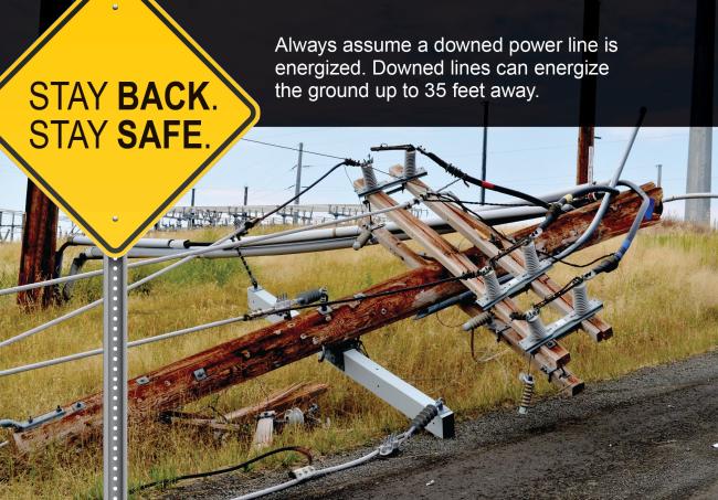 downed lines